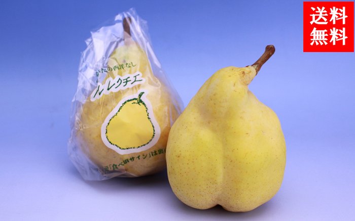 Japanese Le Lectier Pear - Image 2