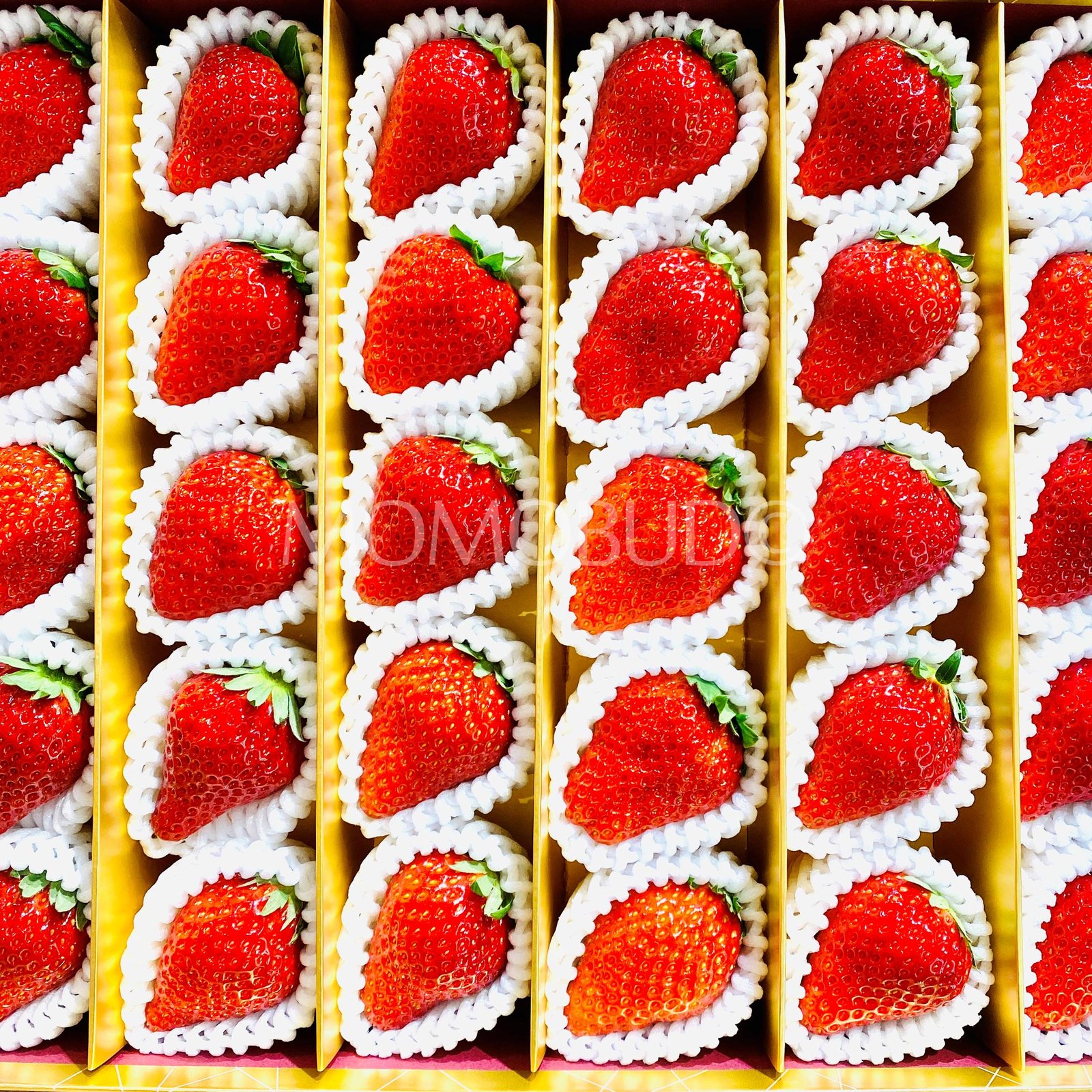 Japanese Premium Manakokoro Ichigo (Strawberry) Gift Box (1kg) - Image 3
