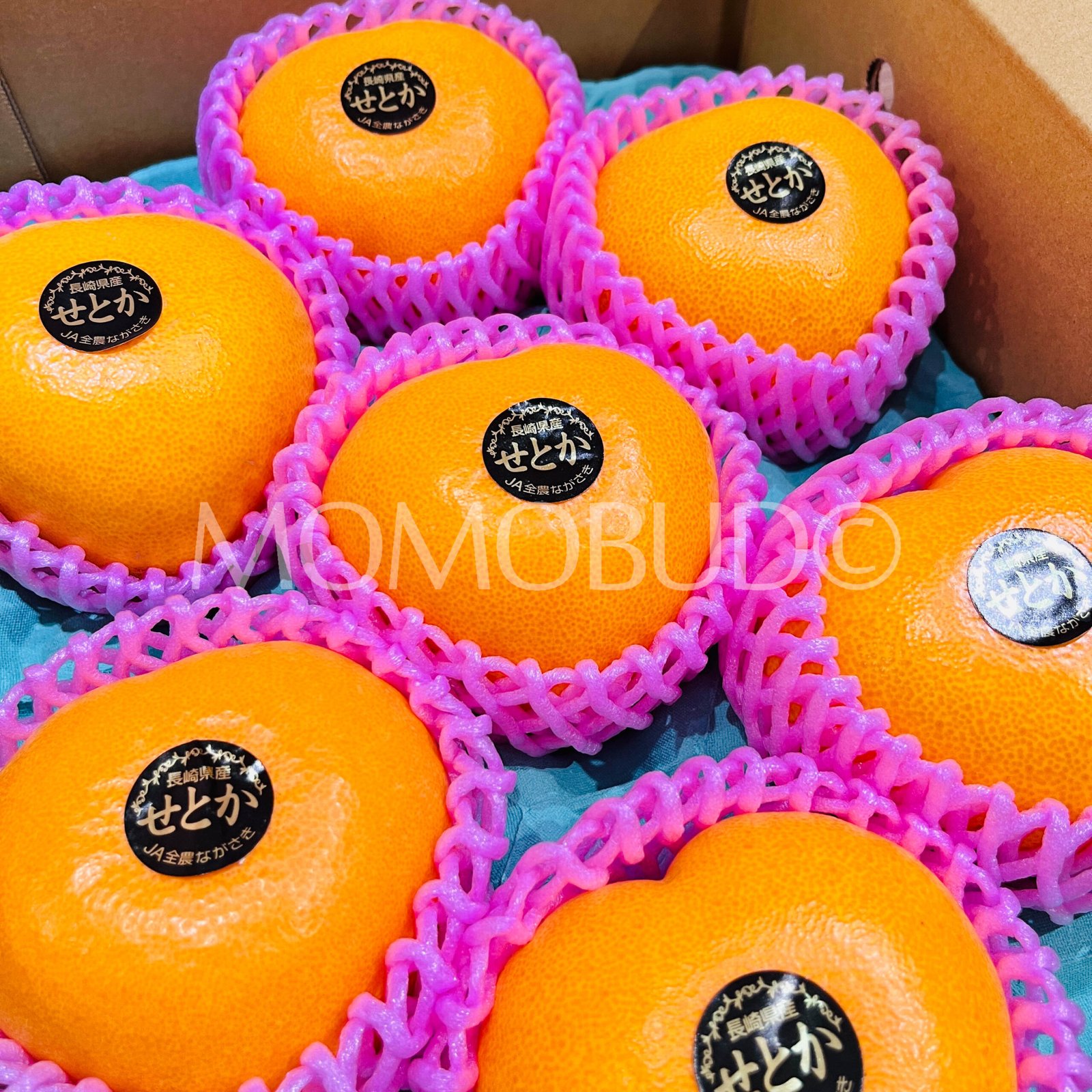 *Valentine's Day Special* Japanese Marunan Heart Setoka Mikan (Mandarin Orange) Gift Box (2kg) - Image 4