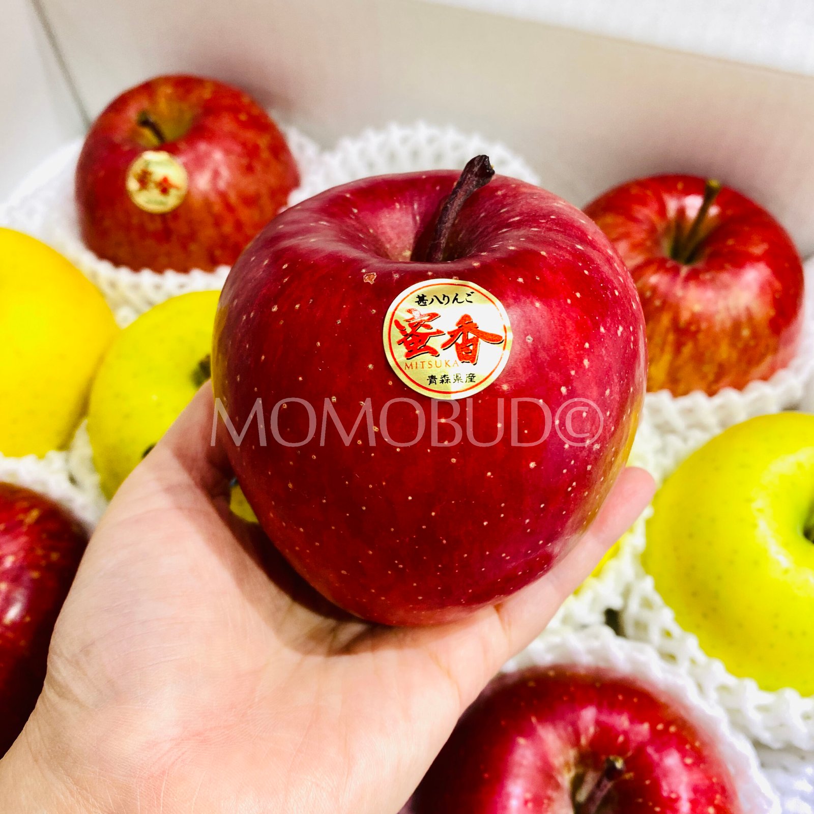 Japanese Premium Mitsuka Apple - Image 5