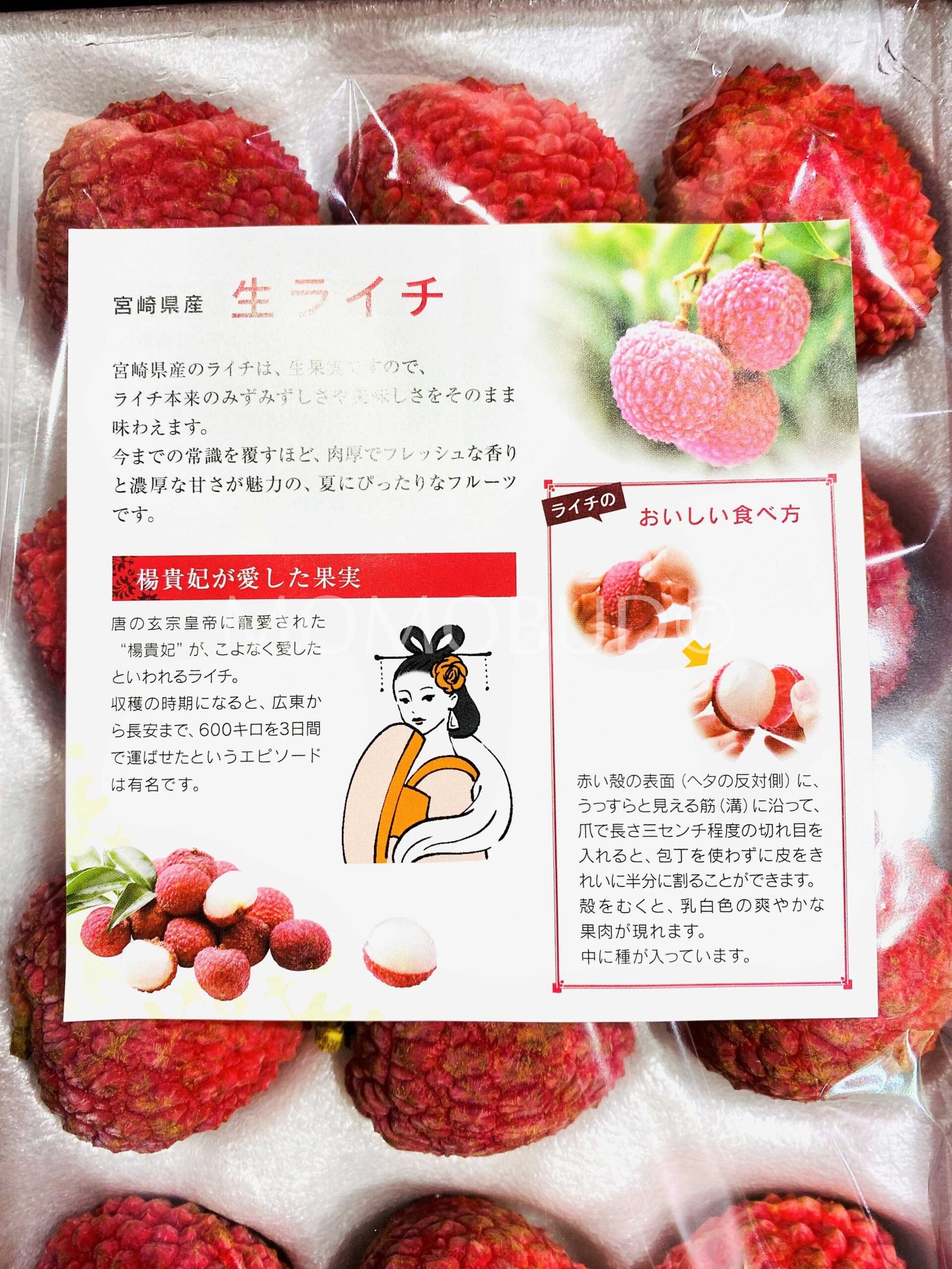 Japanese Miyazaki Red Lychee Gift Box (400g) - Image 6