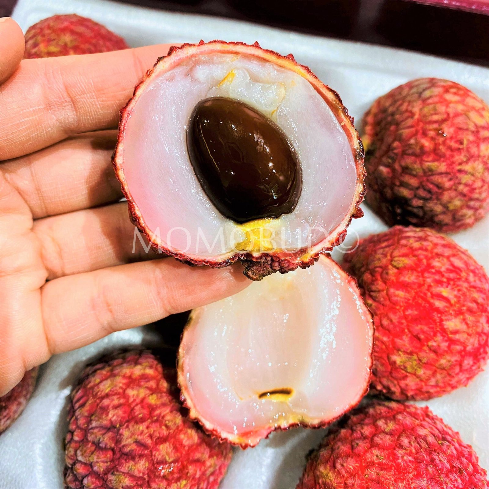 Japanese Miyazaki Red Lychee Gift Box (400g) - Image 9