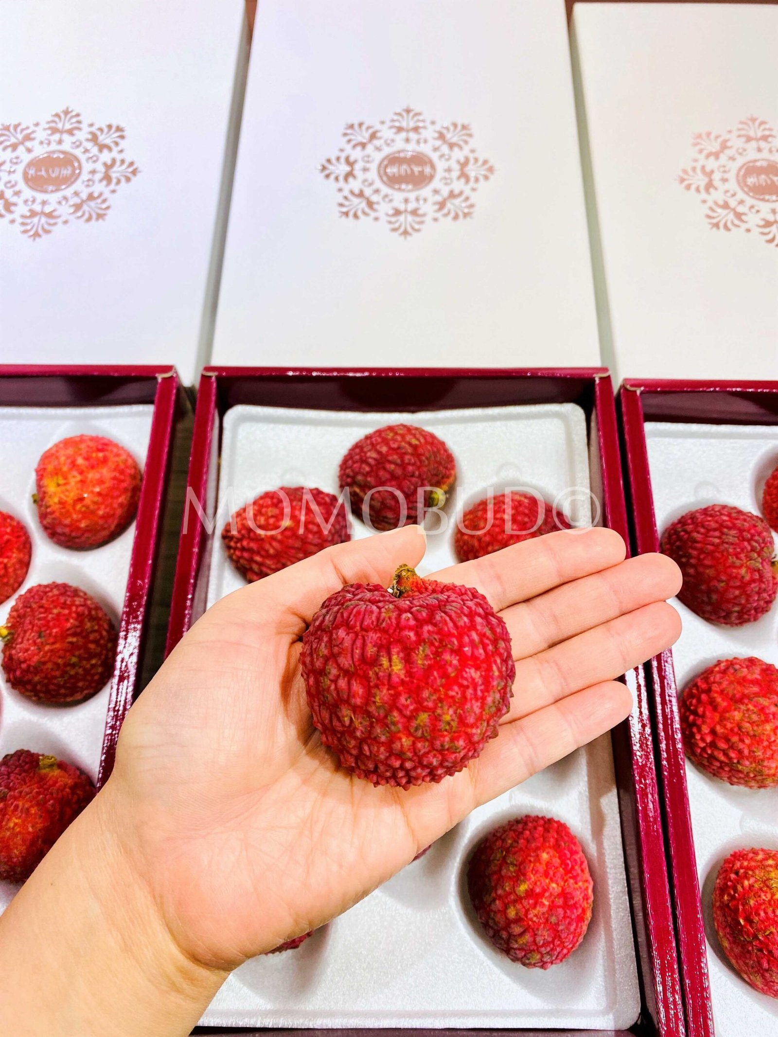 Japanese Miyazaki Red Lychee Gift Box (400g) - Image 8