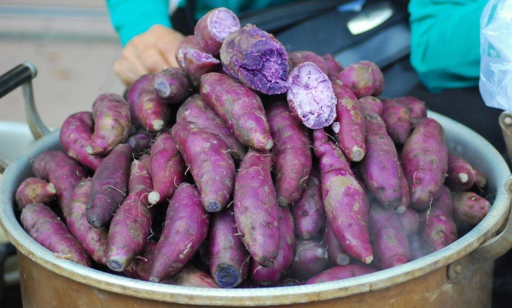 Japanese Fuku Murasaki Purple Satsumaimo (Sweet Potato) - Image 2