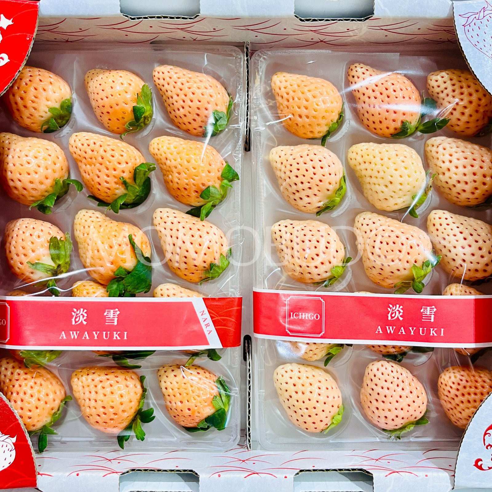 Japanese Nara Awayuki Ichigo (Strawberry) - Image 2