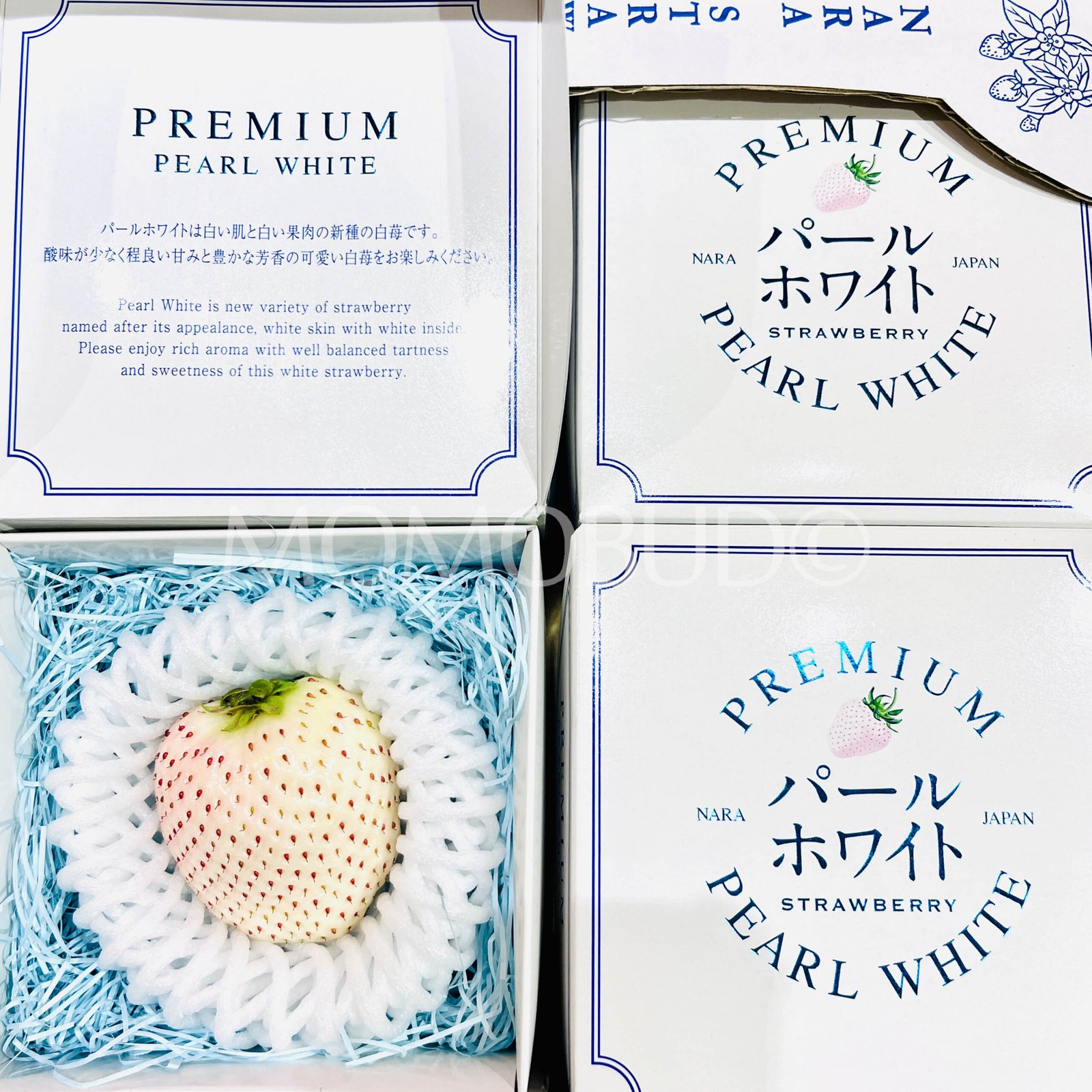 Japanese Nara Pearl White Ichigo (Strawberry) (40g Jewelry Box) - Image 2