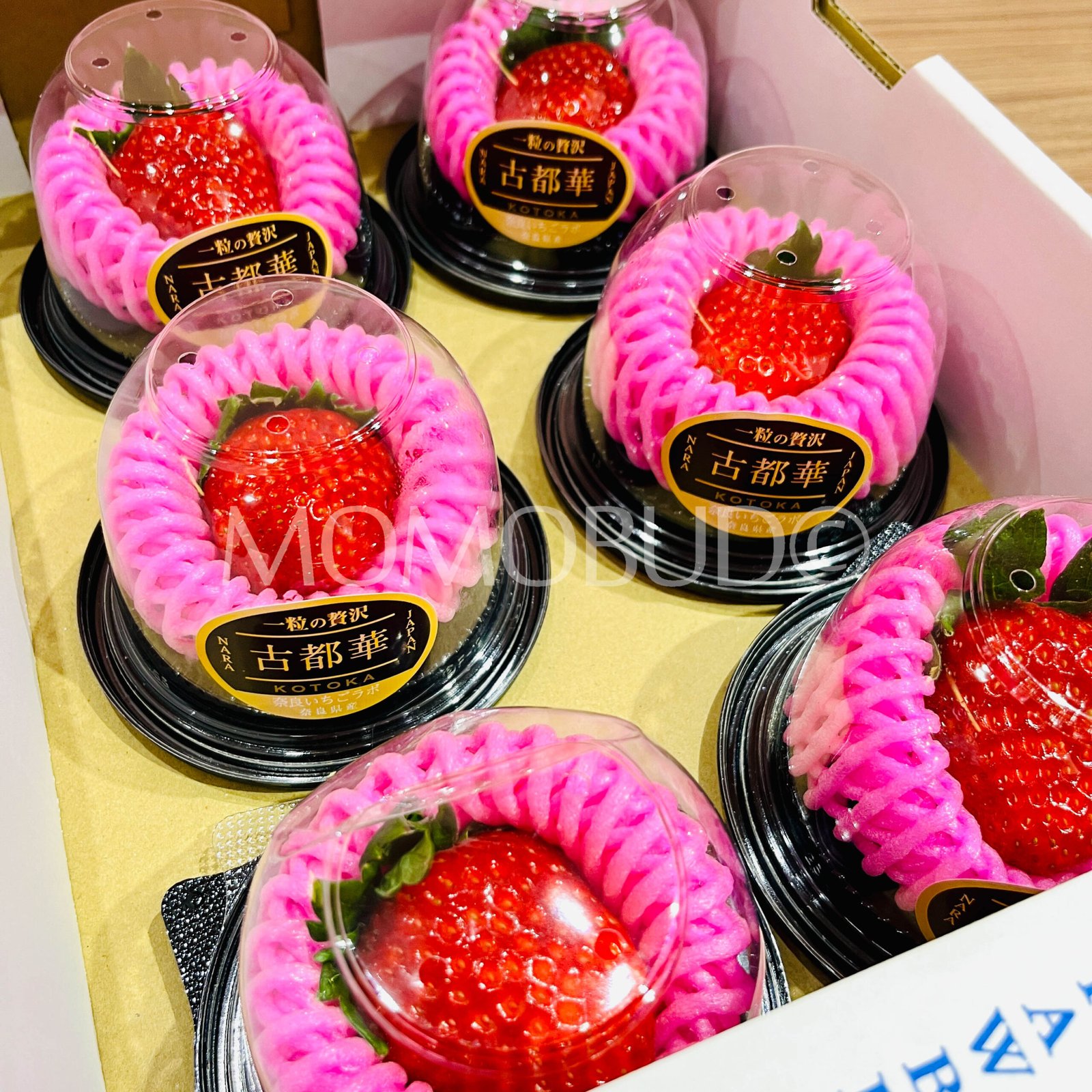 Japanese Nara Strawberry Lab Kotoka Ichigo (Strawberry) (40g cup) - Image 2