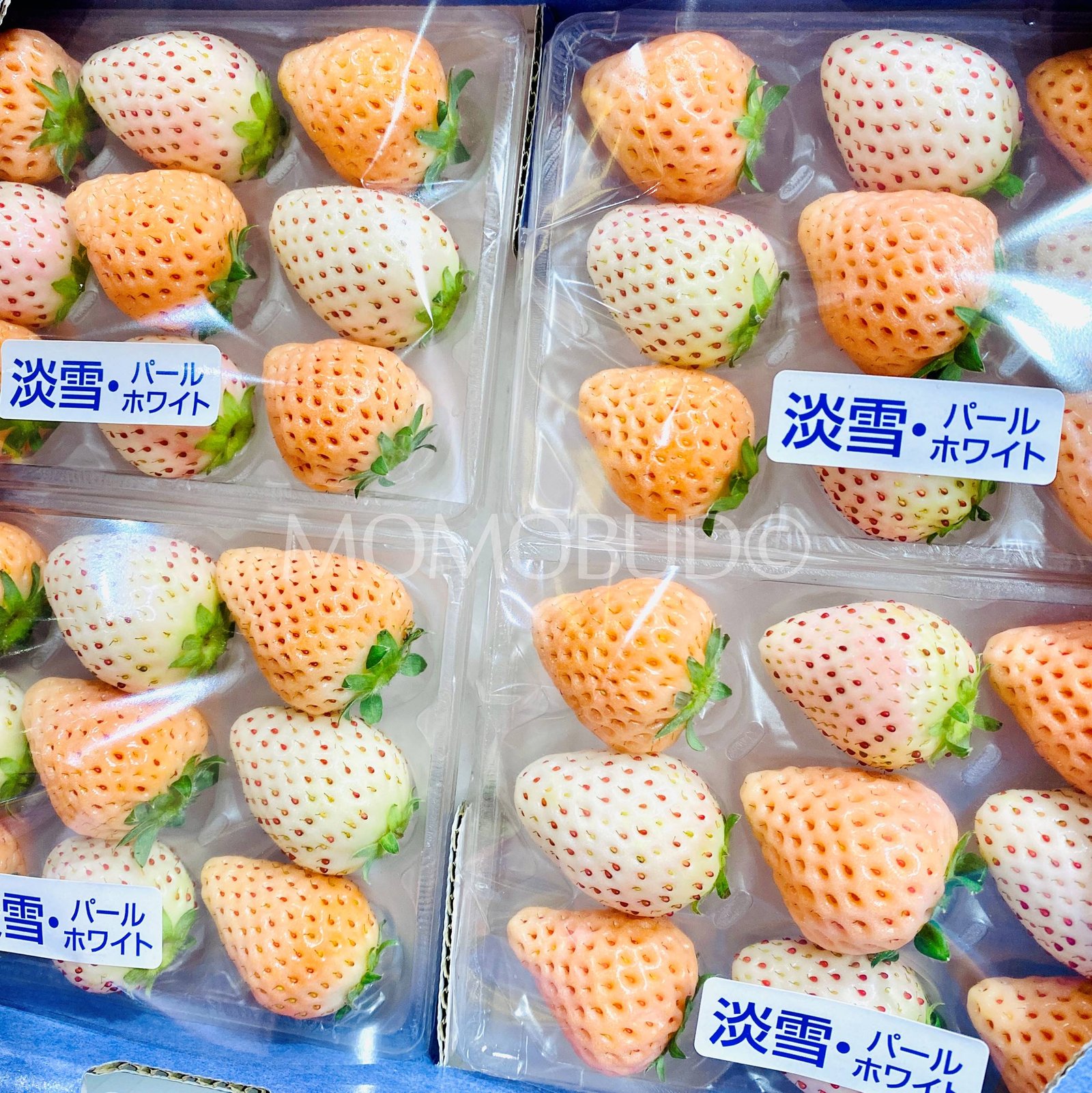Japanese Nara Strawberry Lab (Pearl White | Awayuki) 140g - Image 3