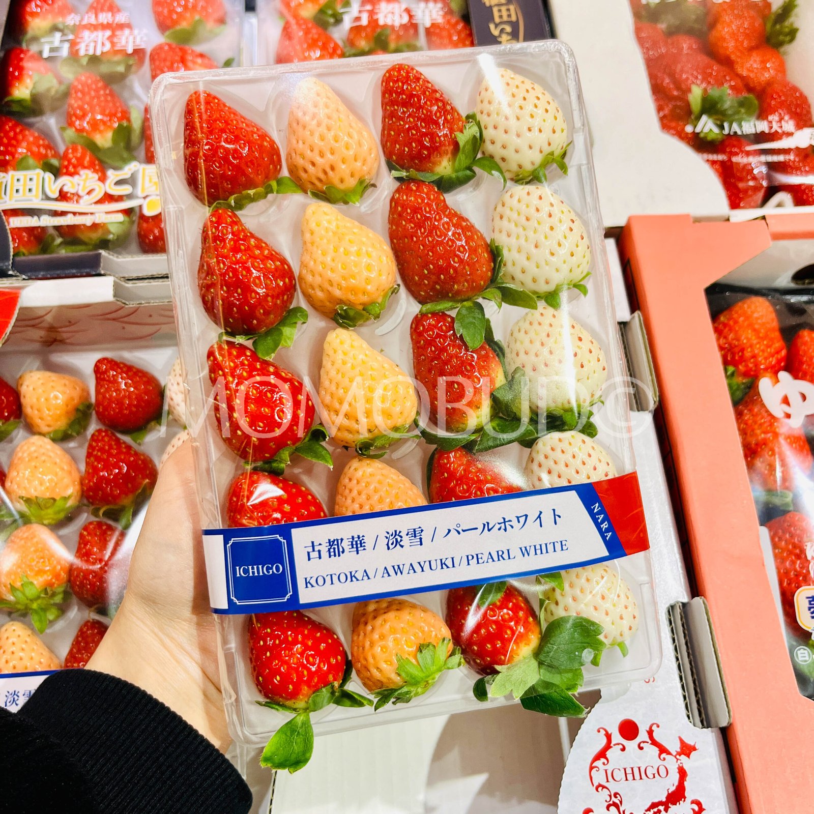 *This Week Special Promo* Japanese Nara Strawberry (Pearl White | Awayuki | Kotoka) 280g - Image 3