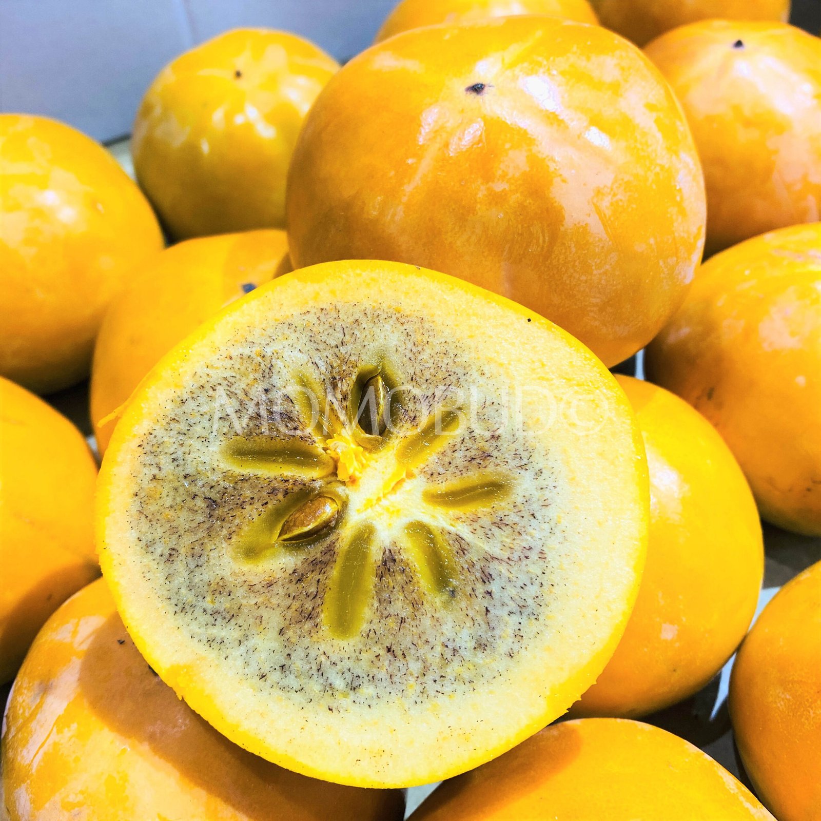 Japanese Nishimura Persimmon (Medium) - Image 2