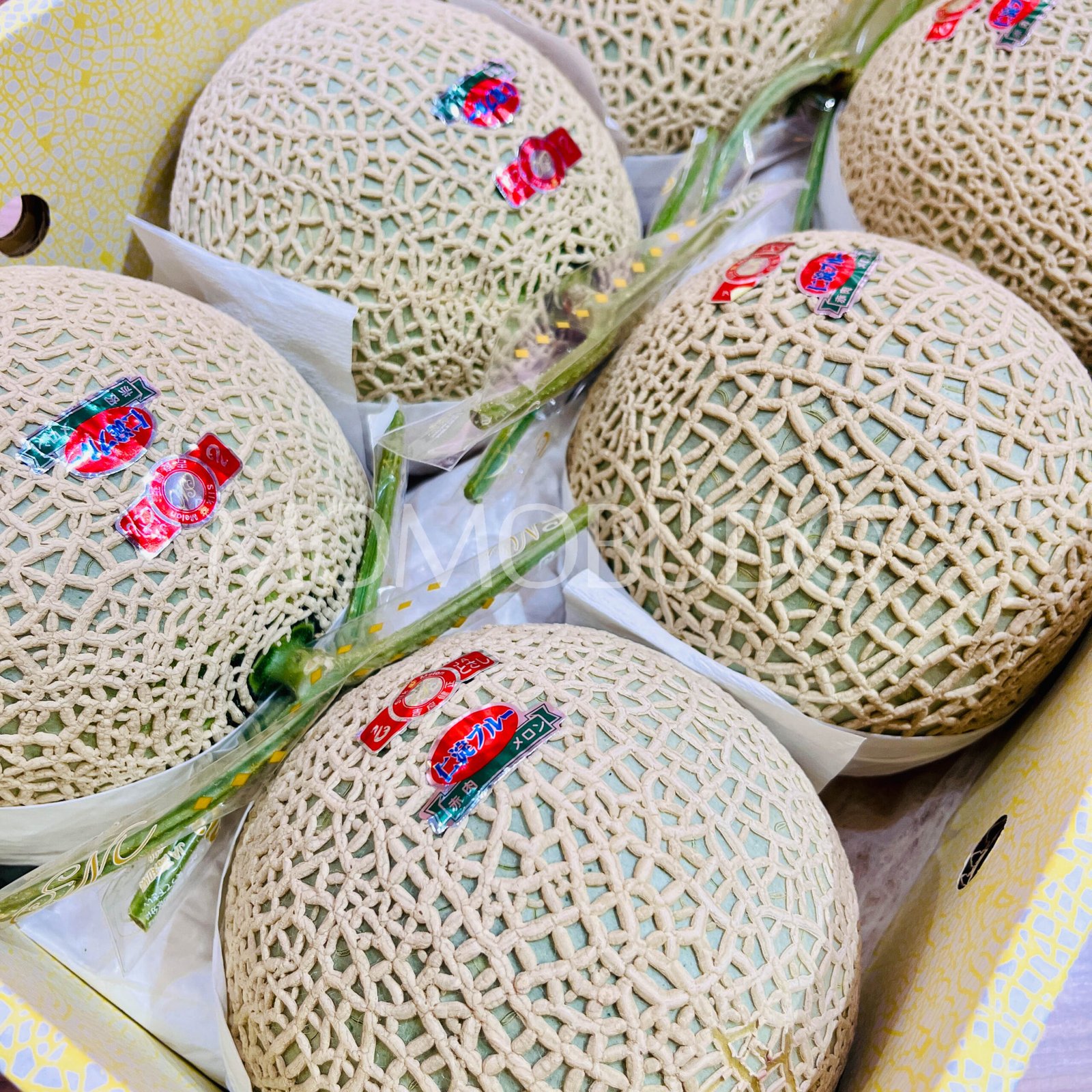 Japanese Niyodo Blue Arus Red Muskmelon (Large-Plus, 1.6kg approx) - Image 2