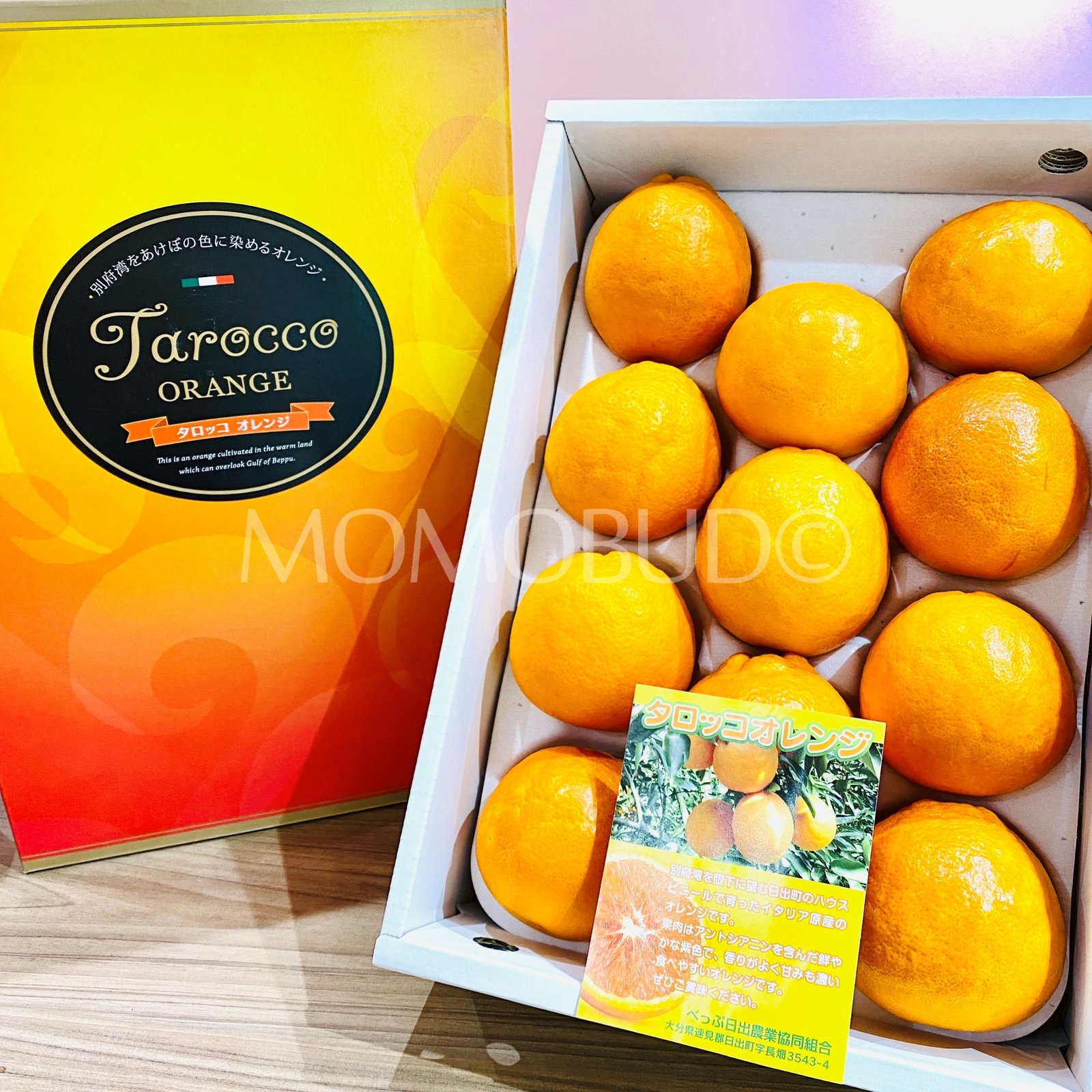 Japanese Oita Tarokko Blood Orange (Small-Plus) - Image 2