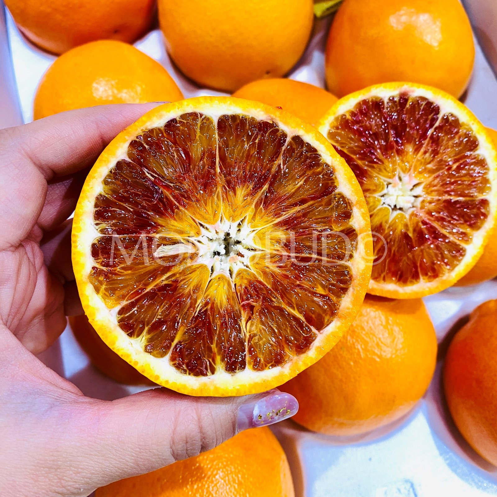 Japanese Oita Tarokko Blood Orange (Small-Plus) - Image 6