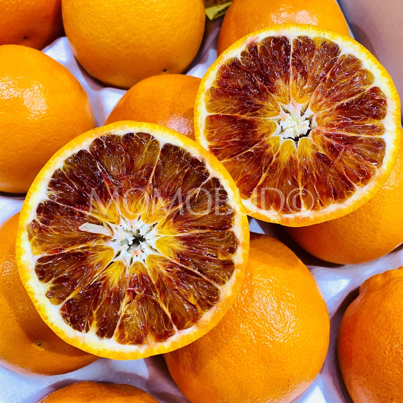 Japanese Oita Tarokko Blood Orange (Small-Plus) - Image 5