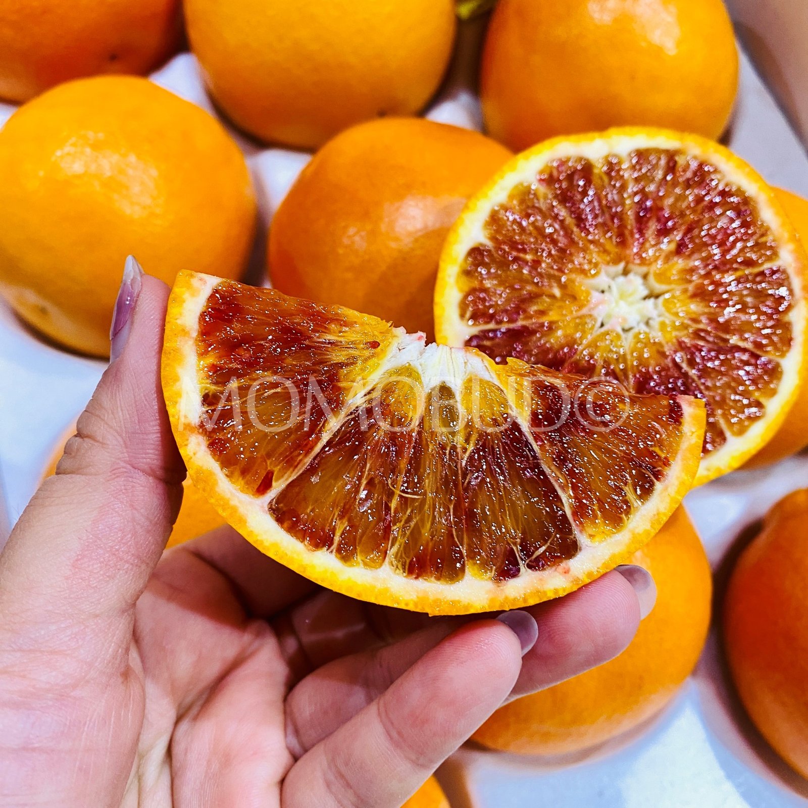 Japanese Oita Tarokko Blood Orange (Small-Plus) - Image 7