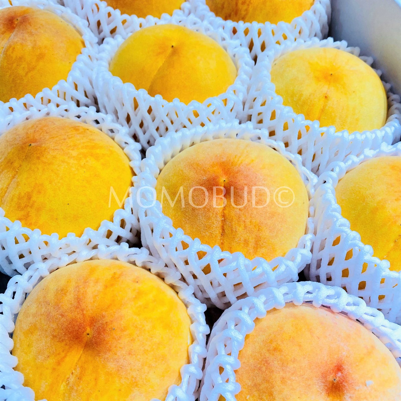Japanese Okayama Golden Peach Gift Box (Royal Grade, 4kg) - Image 2