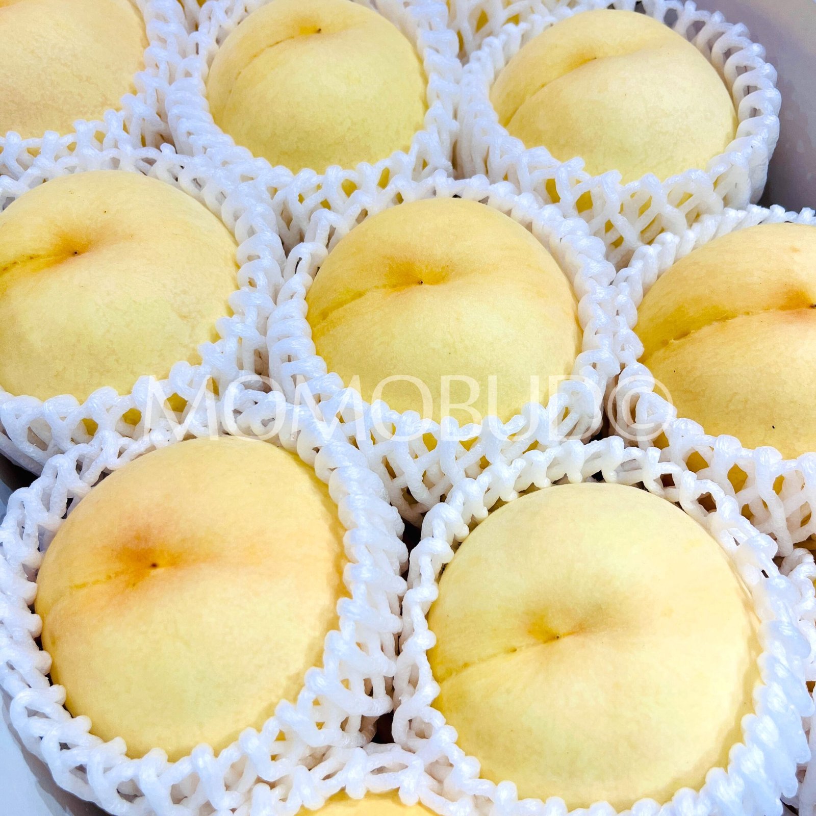 Japanese Okayama Megumihaku White Peach (Large) - Image 3