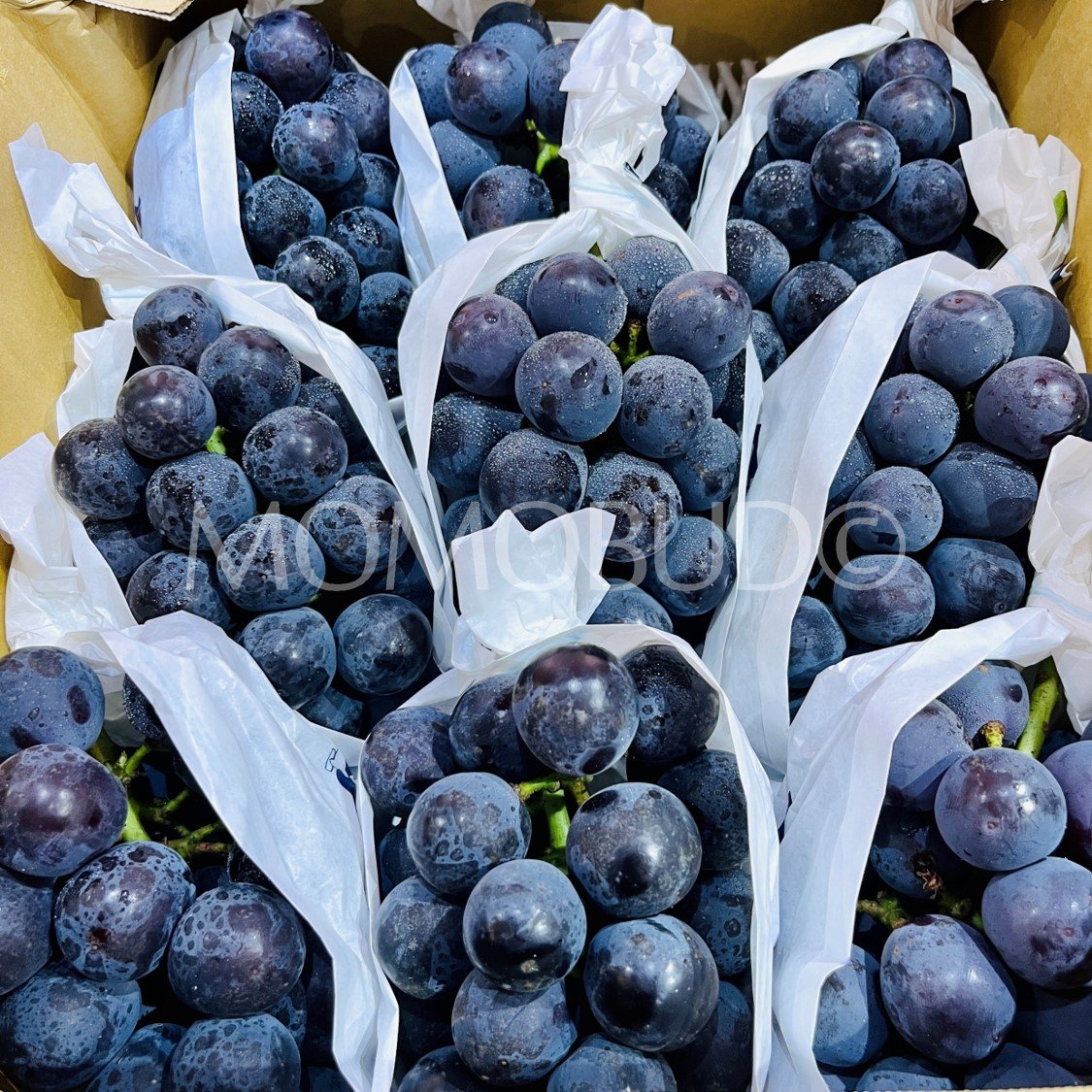 Japanese New Pione Seedless Grapes (700-800g approx) - Image 2