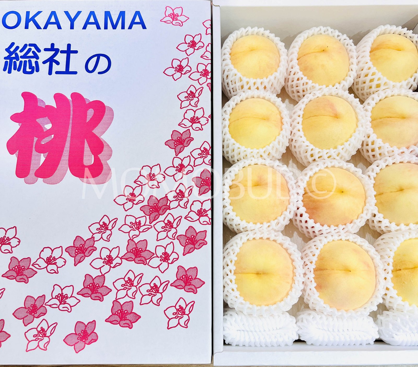 Japanese Okayama Sachiakane White Peach (Large) - Image 2
