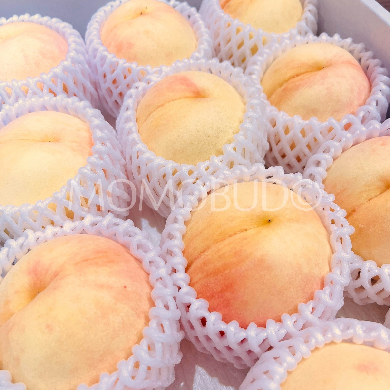 Japanese Okayama Sachiakane White Peach (Large) - Image 3