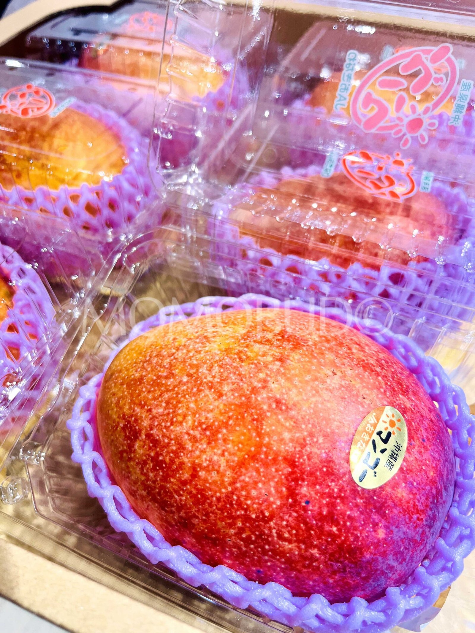 Japanese Okinawa Kanjuku Mango (600-700g approx) - Image 2