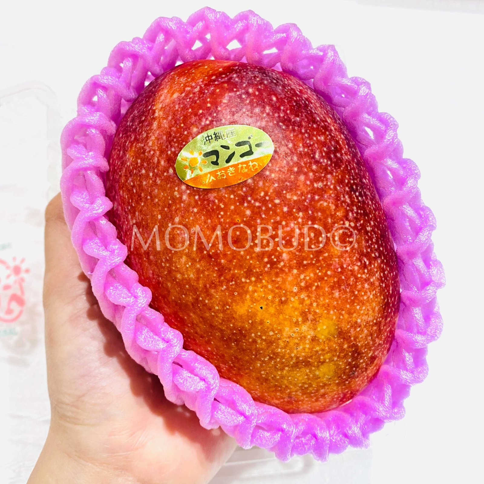 Japanese Okinawa Kanjuku Mango (600-700g approx) - Image 5