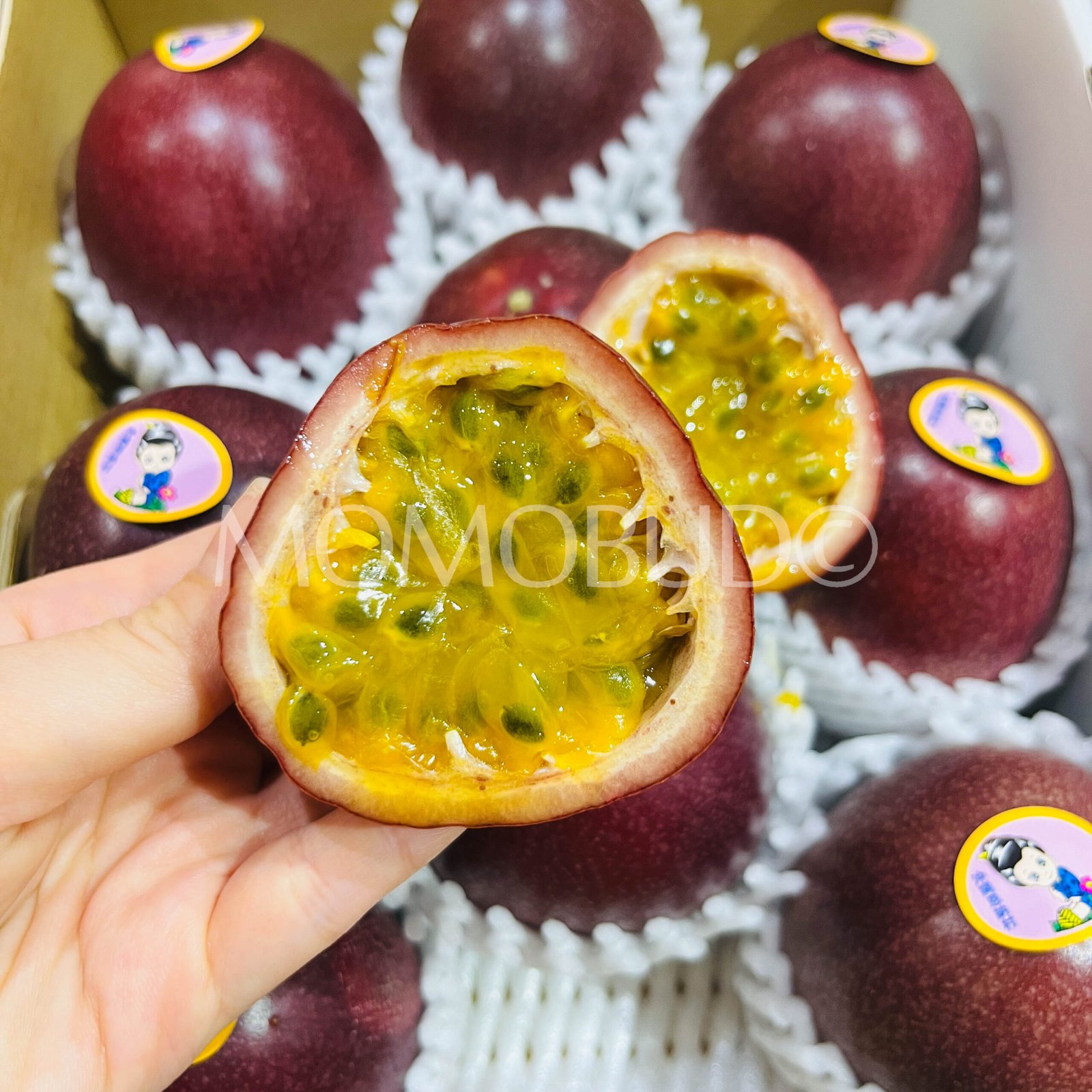 Japanese Kagoshima Passionfruit (300g punnet) - Image 6
