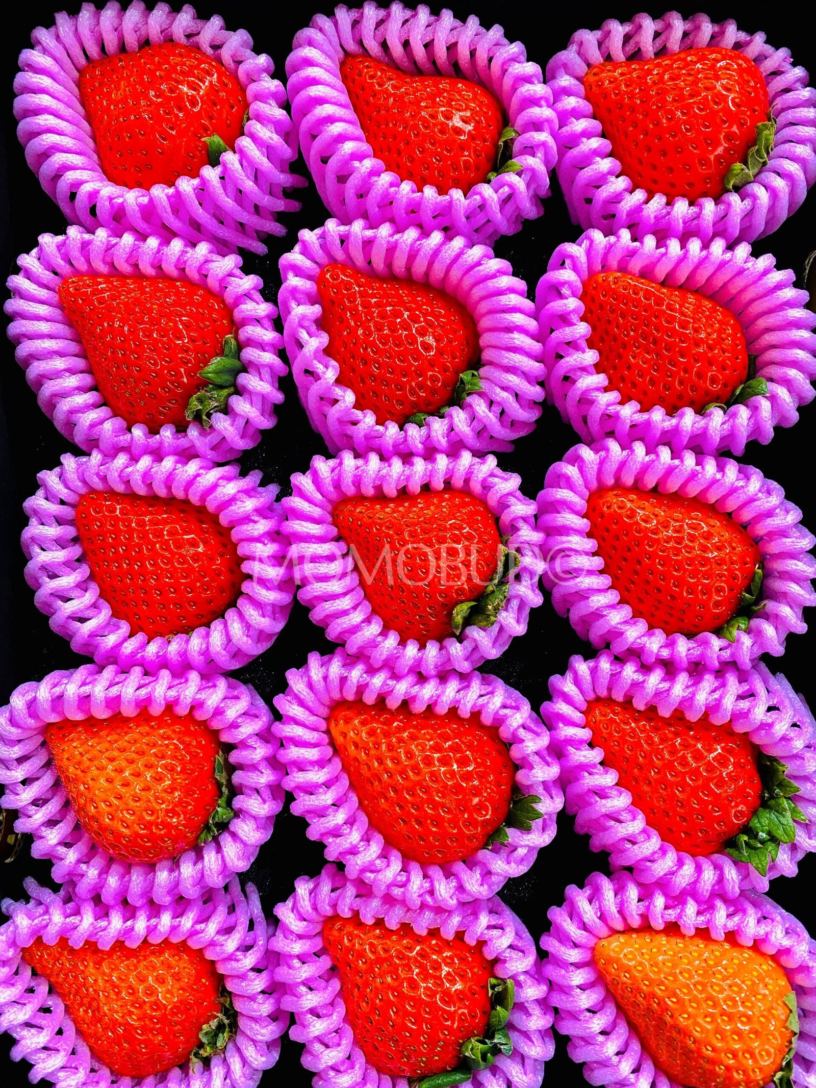 Japanese Ookimi Ichigo (Strawberry) Gift Box (500g) - Image 4