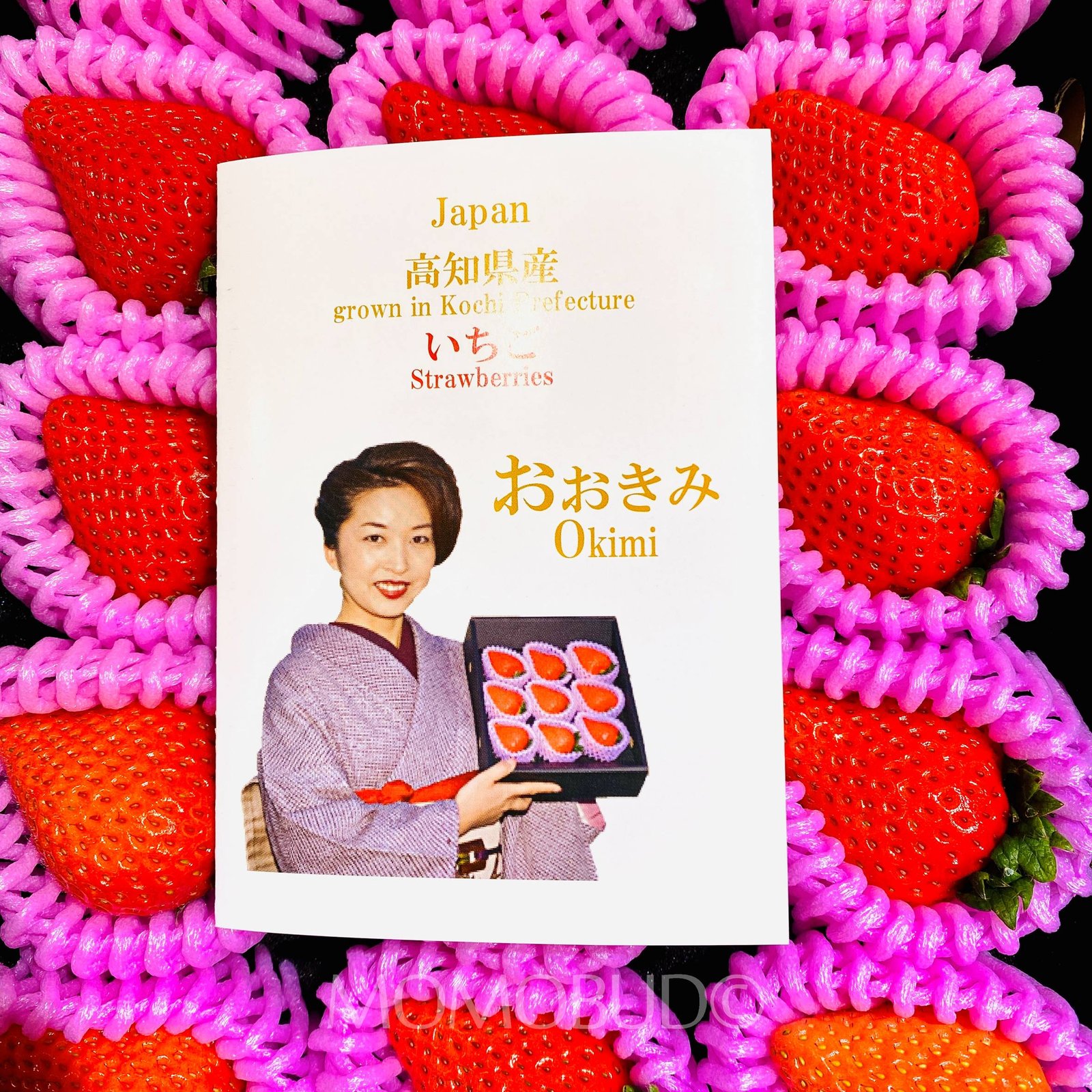 Japanese Ookimi Ichigo (Strawberry) Gift Box (500g) - Image 3