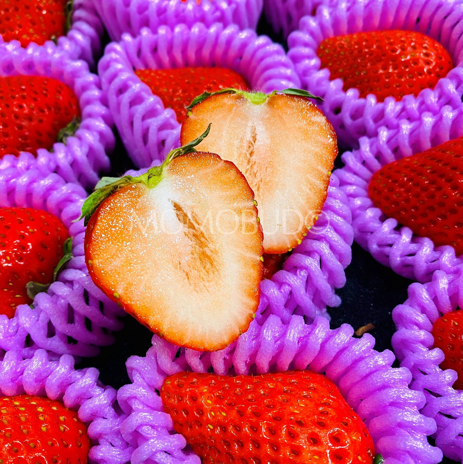 Japanese Ookimi Ichigo (Strawberry) Gift Box (500g) - Image 5