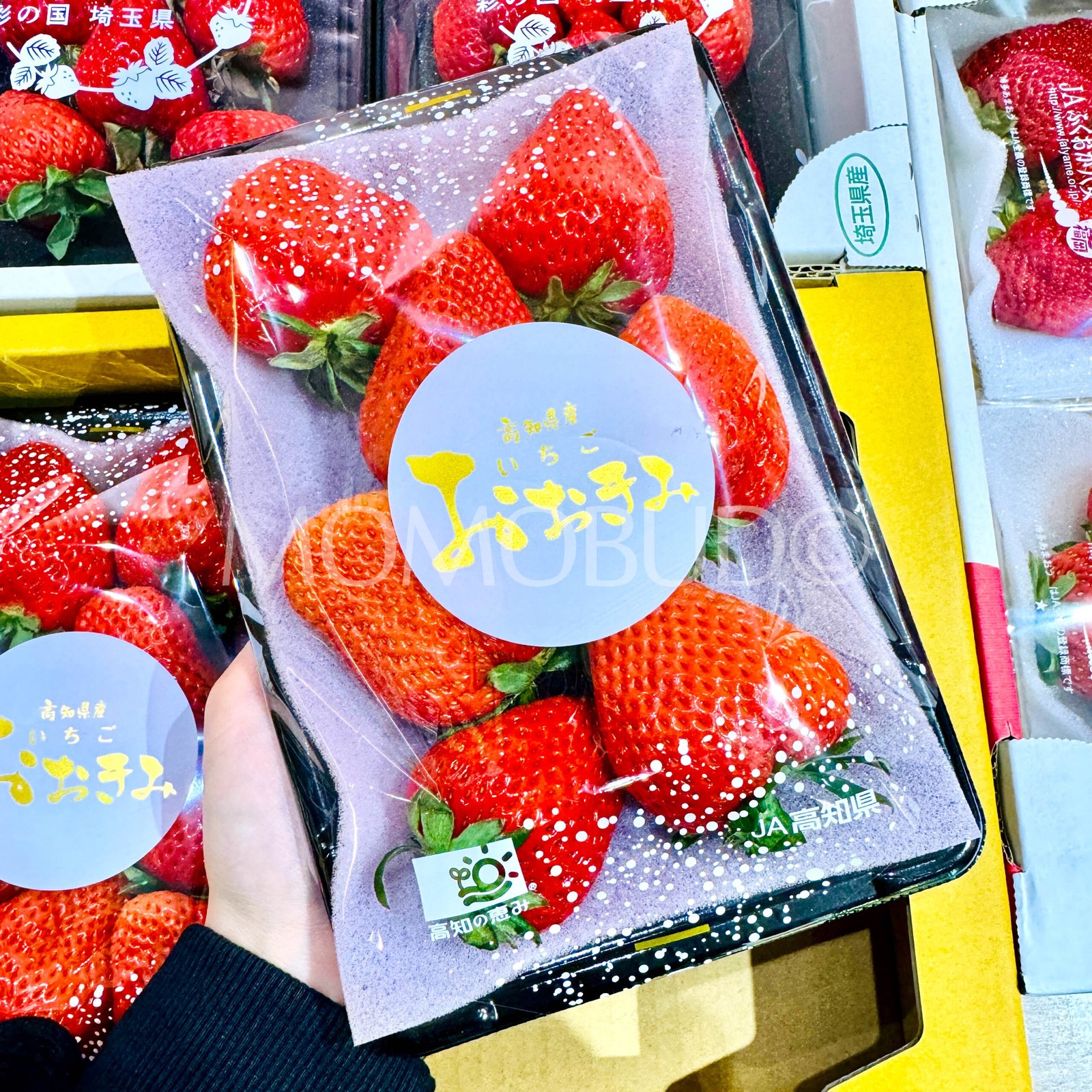 Japanese Ookimi Ichigo (Strawberry) - Image 3