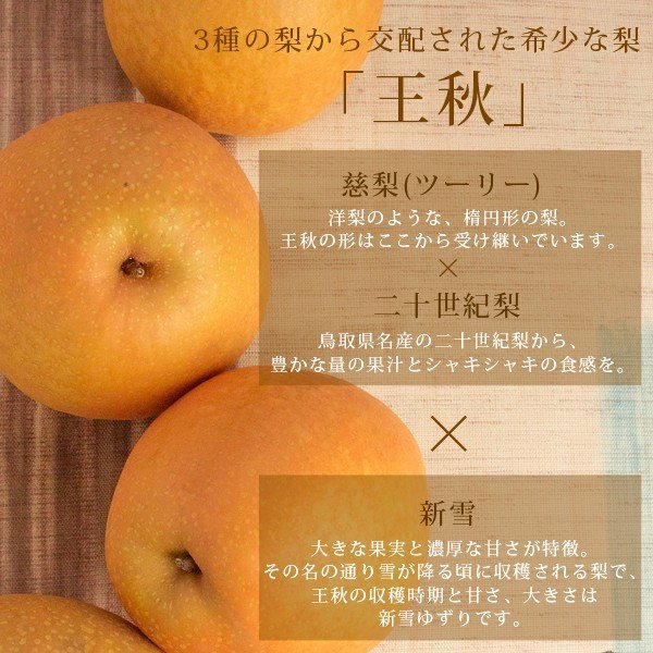 Japanese Oushuu Pear (Large) - Image 3