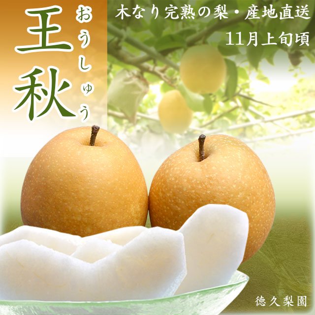 Japanese Oushuu Pear (Large) - Image 2