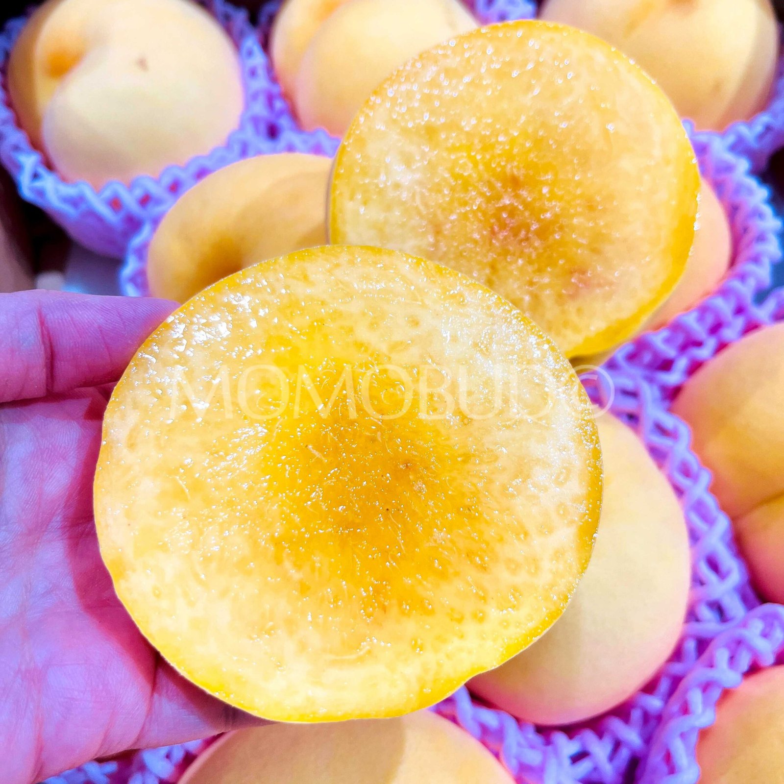 Japanese OugonBijin Golden Peach (Large) - Image 4
