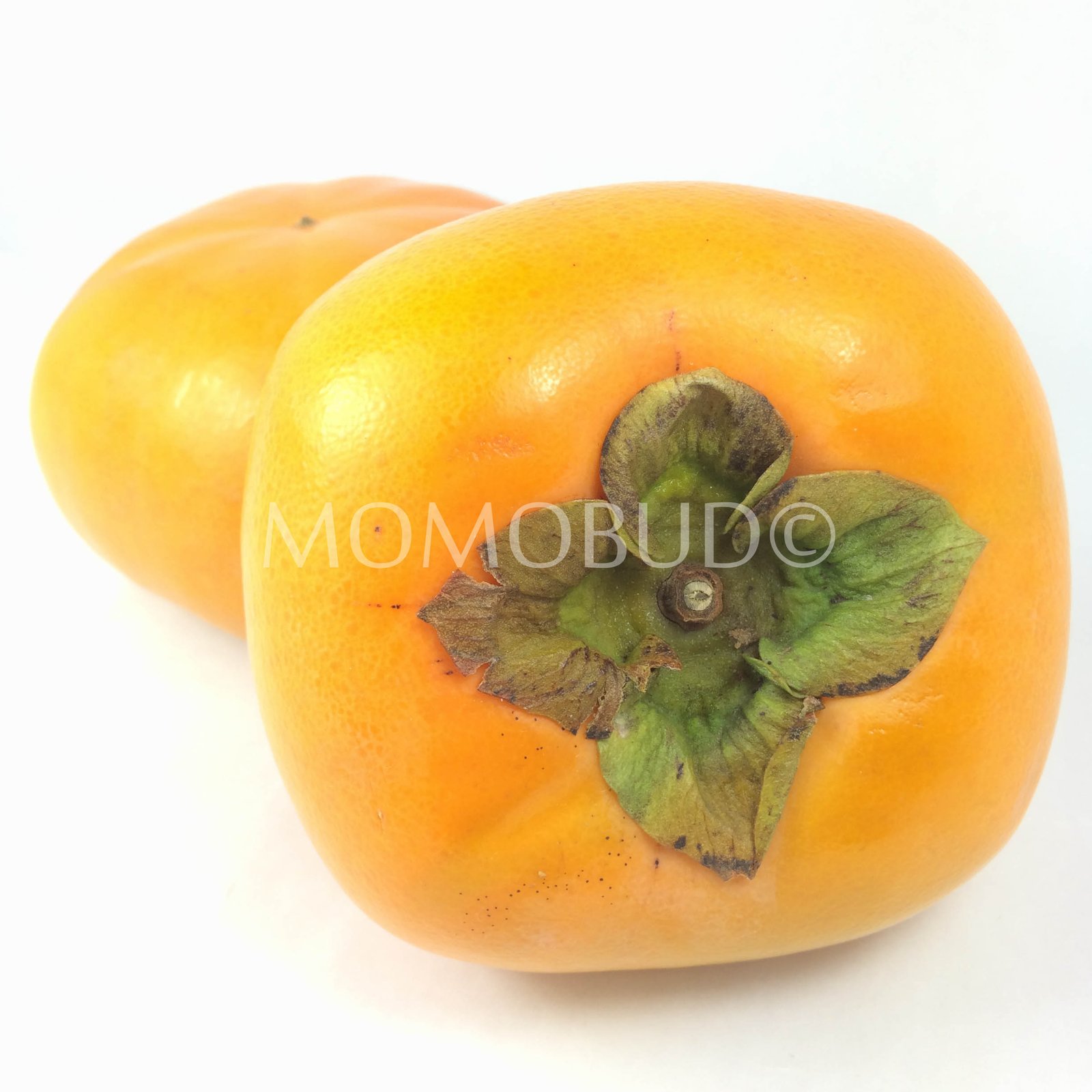 Japanese Fuyu Persimmon (Medium) - Image 2