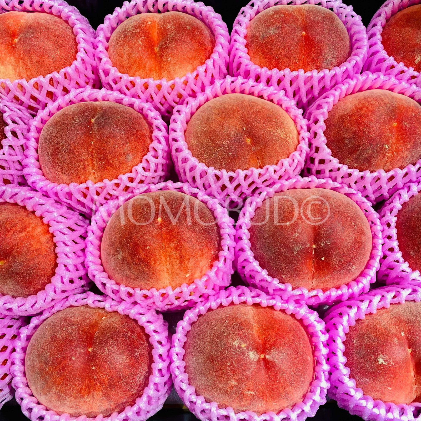 Japanese Premium Ichinomiya Hikawa Hakuhou White Peach (Medium-Plus) - Image 2