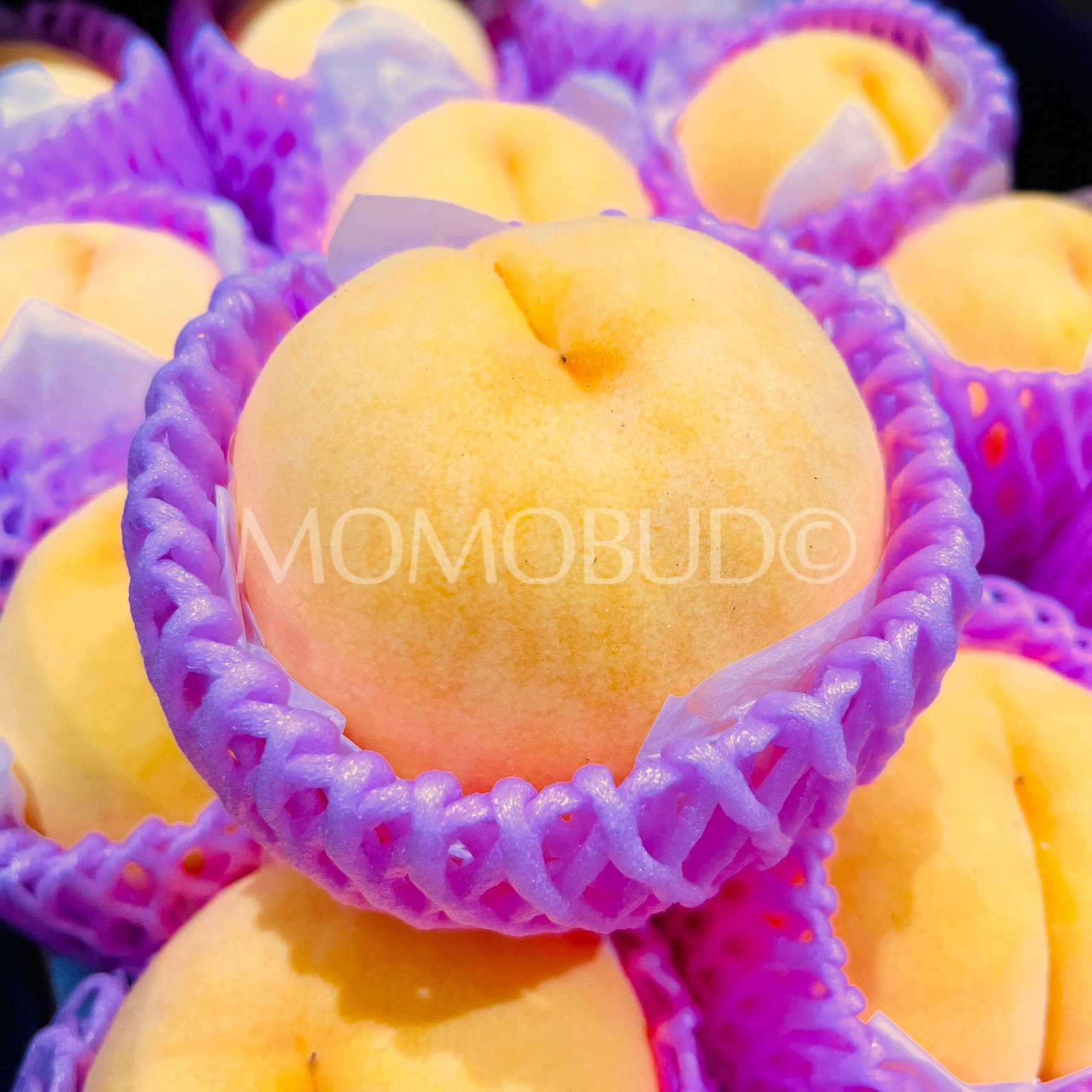 Japanese Premium Ichinomiya Ougontou Golden Peach (Large) - Image 5