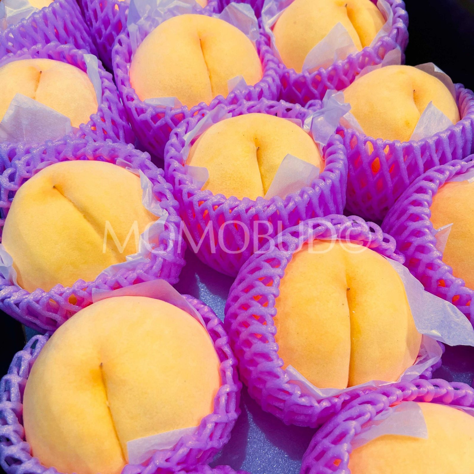 Japanese Premium Ichinomiya Ougontou Golden Peach (Large) - Image 4