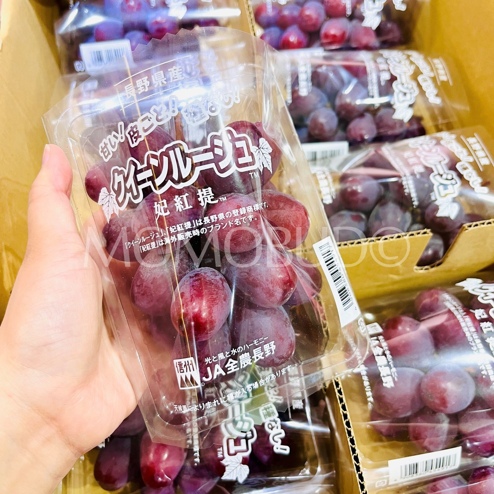 Japanese Queen Rouge® Seedless Grapes (350g punnet) - Image 3