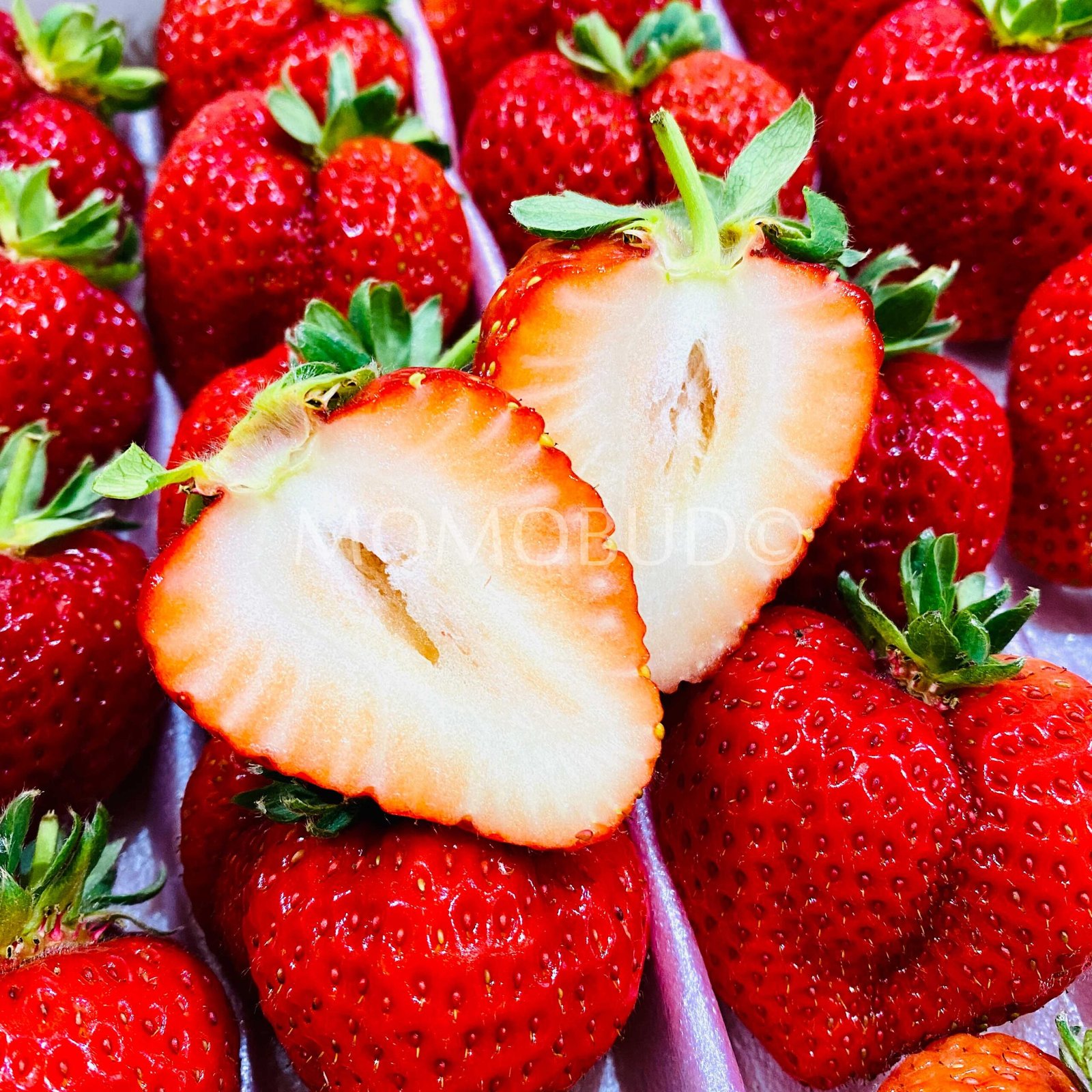 Japanese Sachinoka Ichigo with Stem (Strawberry) Gift Set (1kg) - Image 5