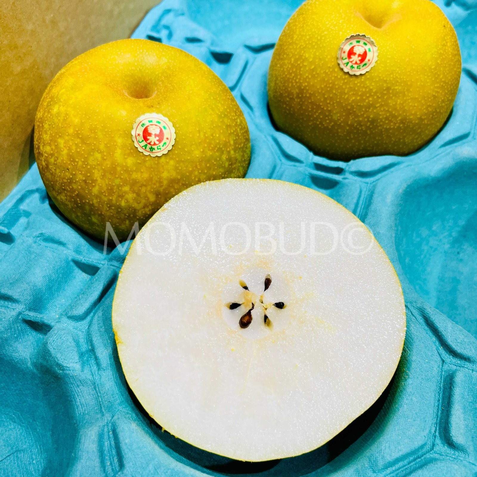 Japanese Kousui Pear (Small-Plus) - Image 6
