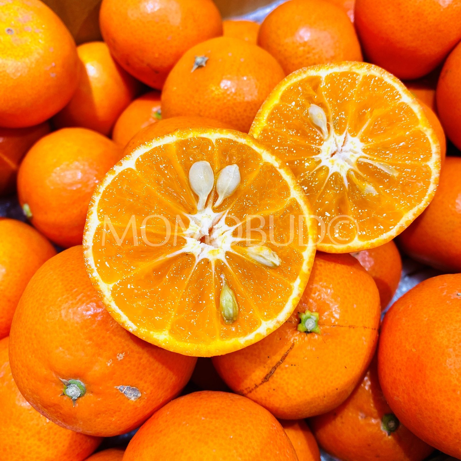 Japanese Saga Mihaya Mikan (Mandarin Orange) - Image 2