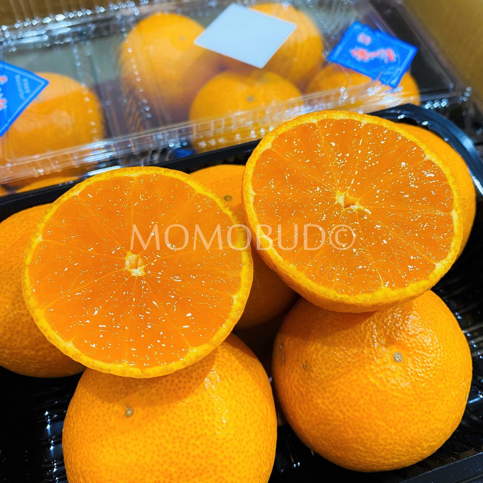 Japanese Saikai Ajimaru Mikan (Mandarin Orange) - Image 2
