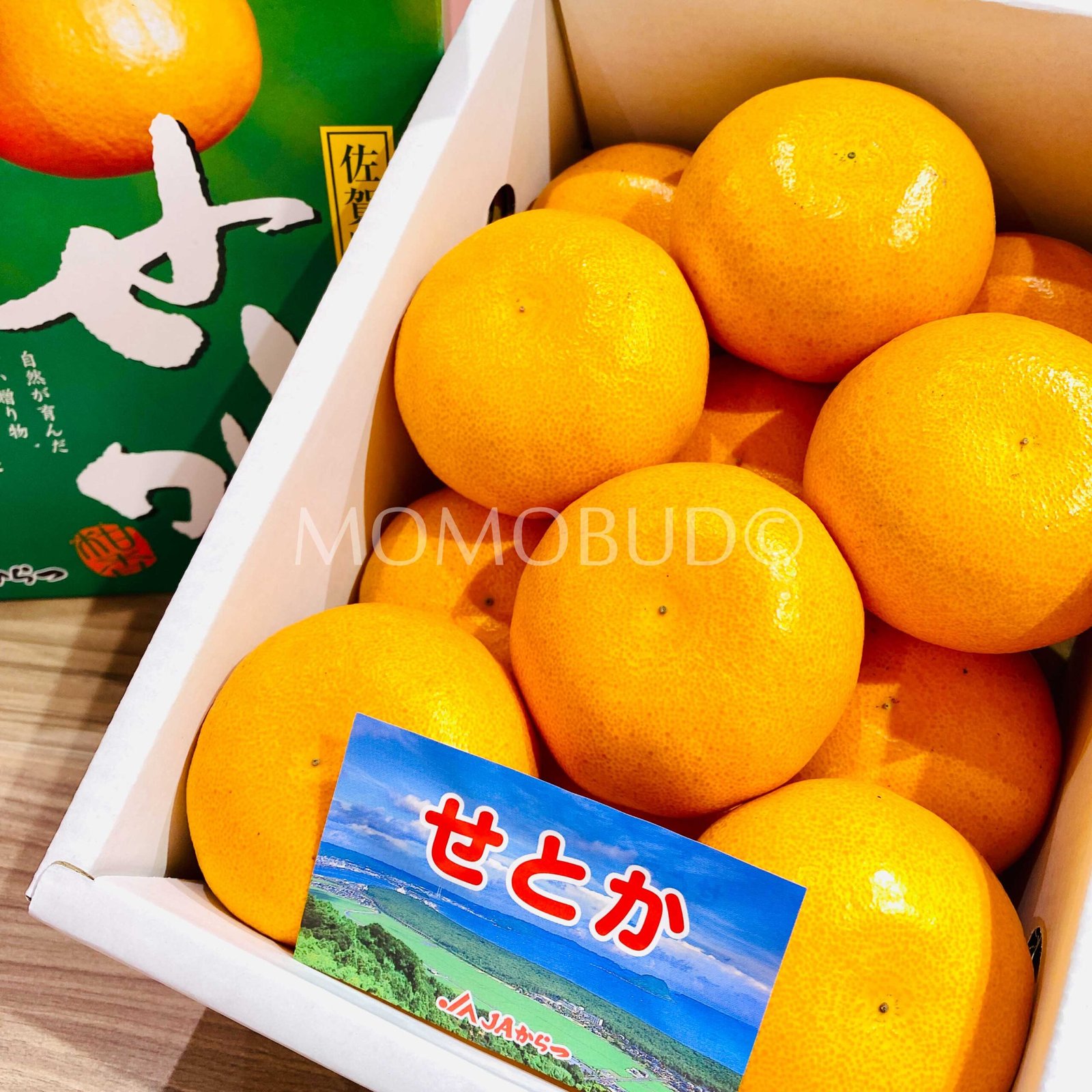 Japanese Setoka Mikan (Mandarin Orange) - Image 3