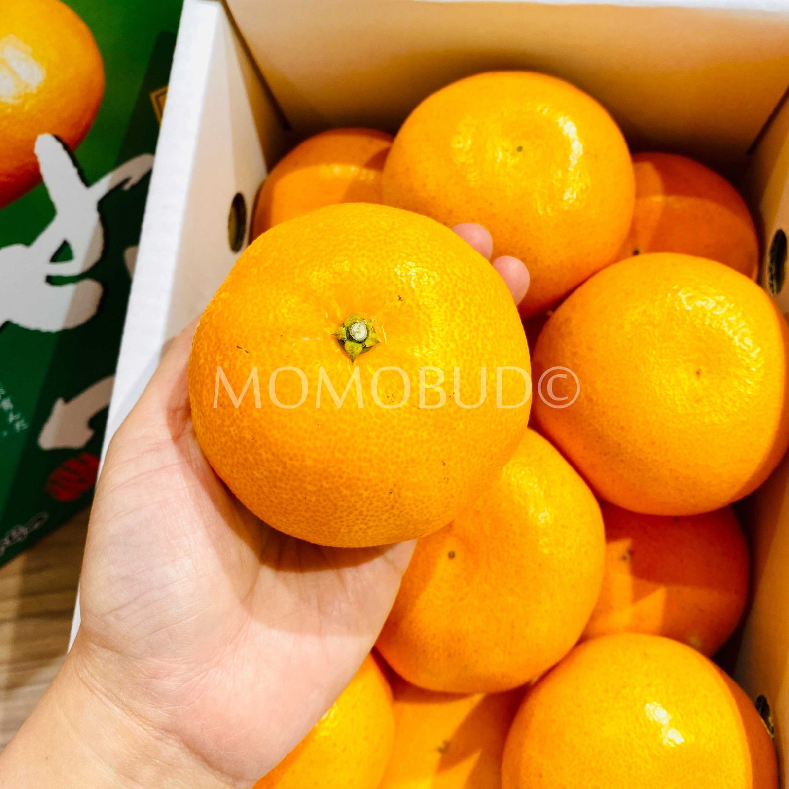 Japanese Setoka Mikan (Mandarin Orange) - Image 4