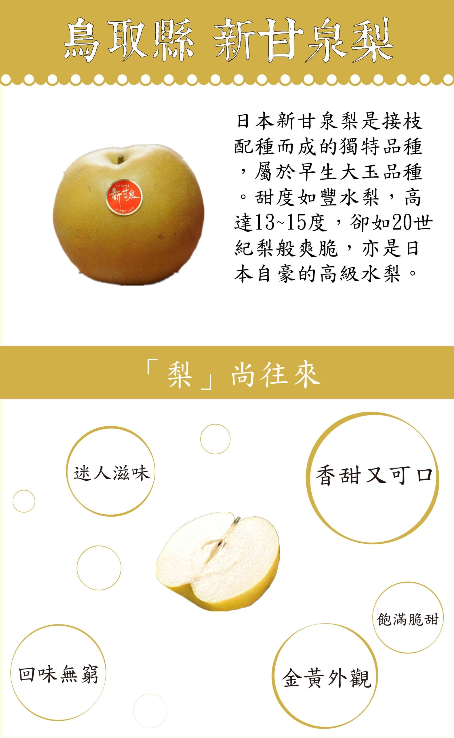 Japanese Premium Shinkansen Pear - Image 7
