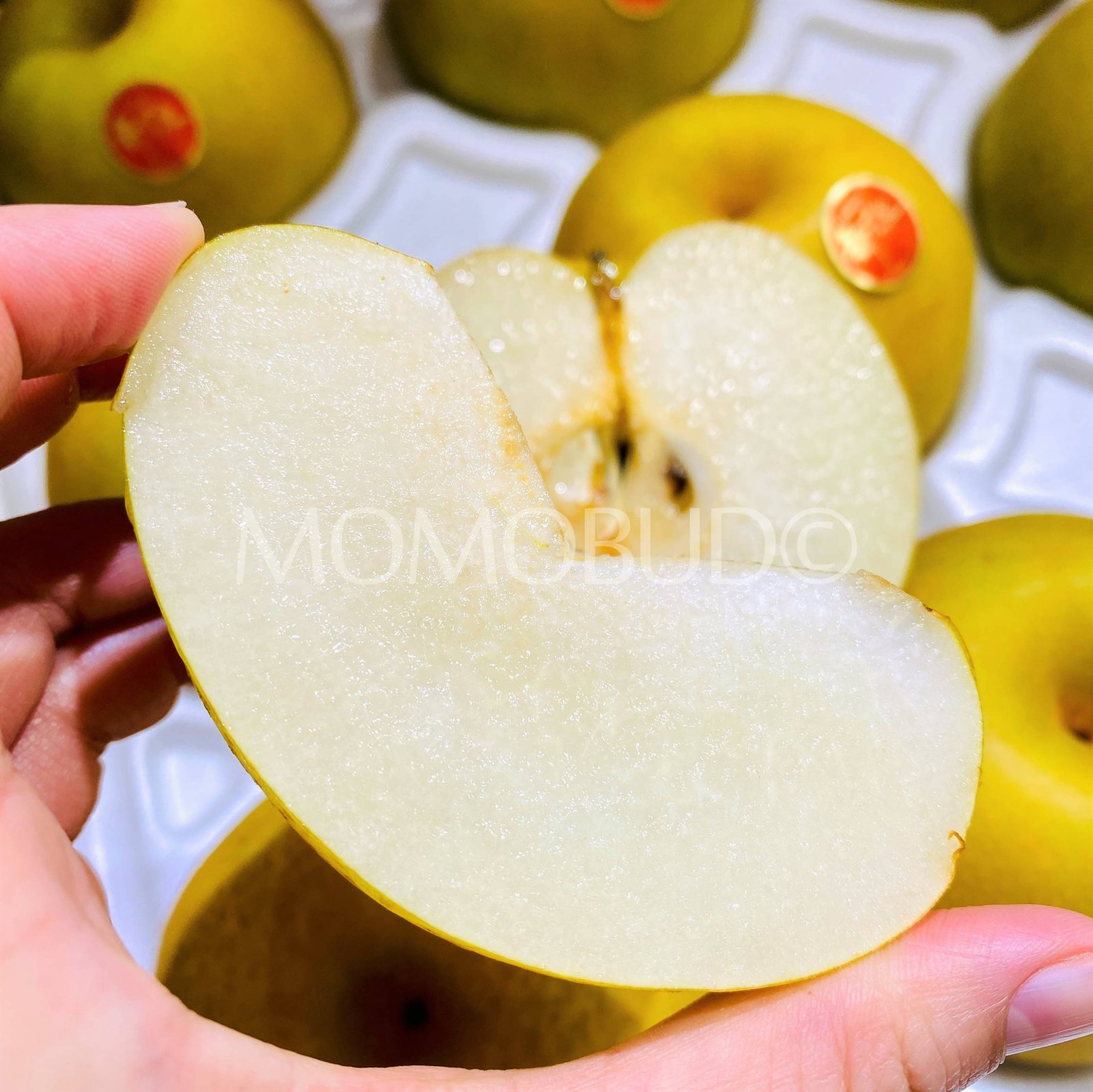 Japanese Premium Shinkansen Pear - Image 4