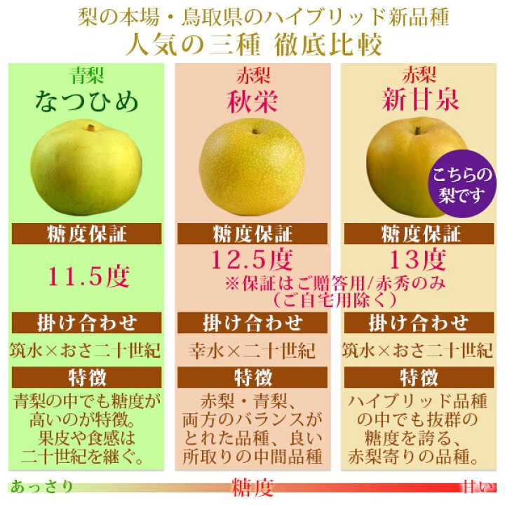 Japanese Premium Shinkansen Pear - Image 9