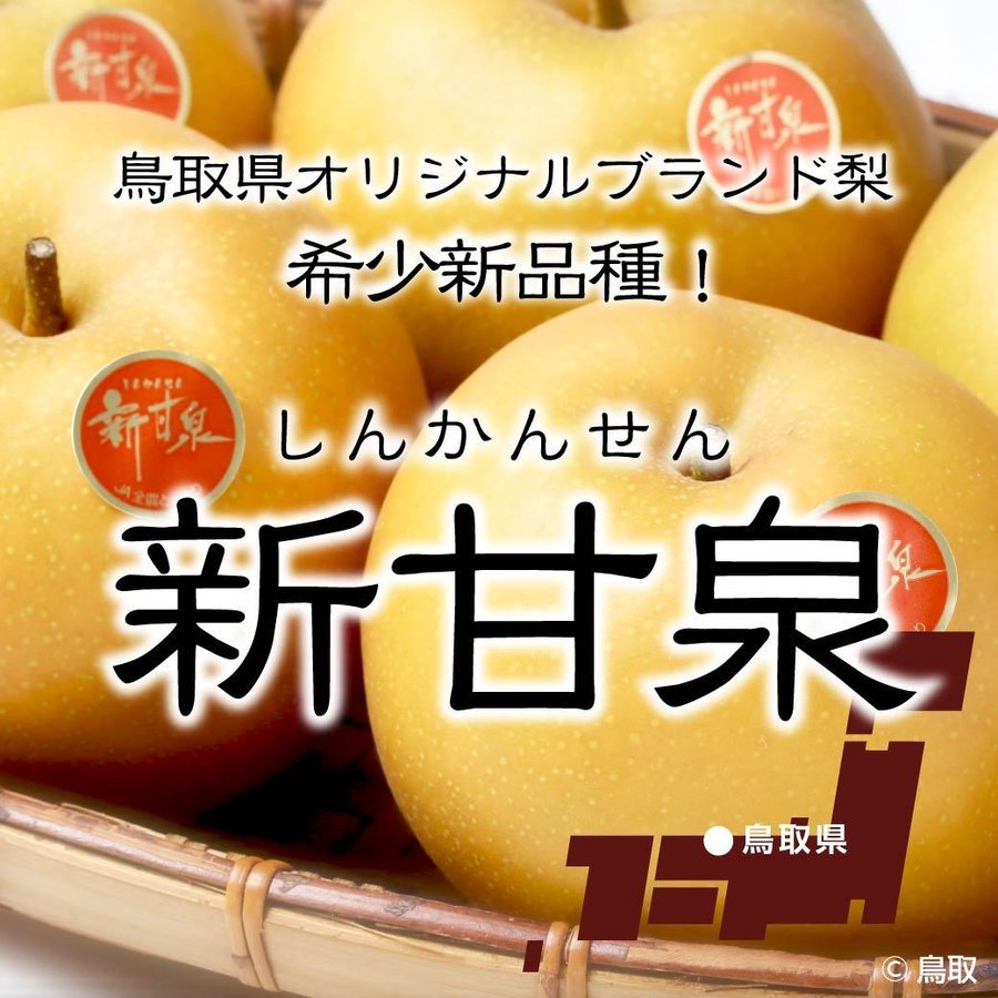 Japanese Premium Shinkansen Pear - Image 5