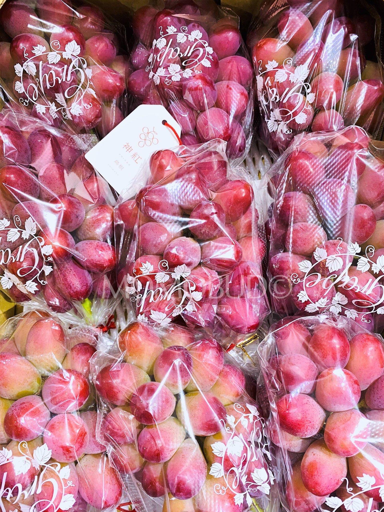 Japanese Shinku Red Shine Muscat Grapes (600-700g approx) - Image 3